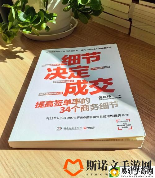 金牌销售的秘密3