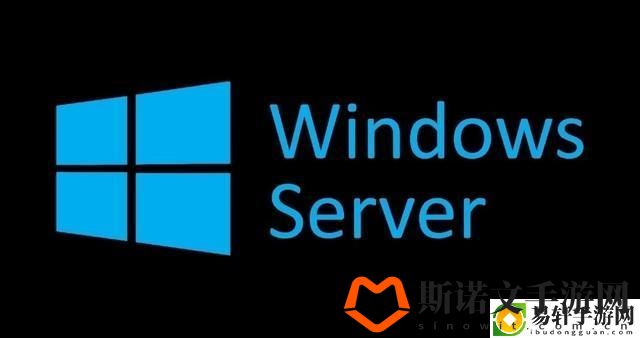 深入探索日本Windows Server的应用与发展游戏玩法