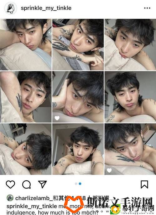 探索“国产Chinese男男wink”的独特魅力与文化现象游戏玩法