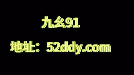 掌握九幺黄9·1安装详解，轻松打造完美环境游戏玩法