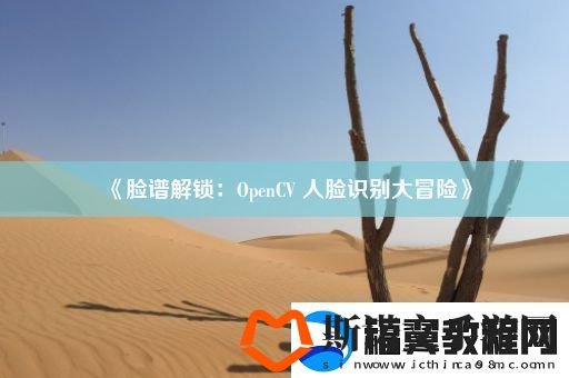 脸谱解锁