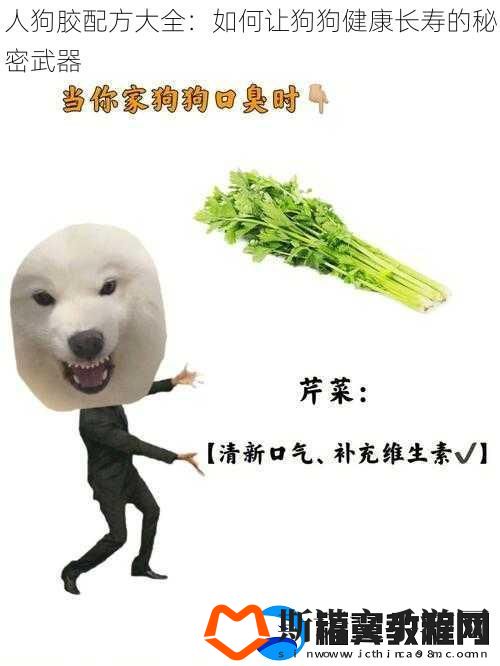 人狗胶配方大全