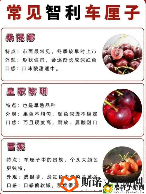 樱桃入口网址：畅享无尽乐趣的在线平台游戏玩法