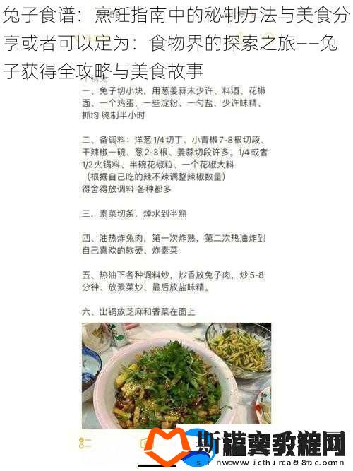 兔子食谱