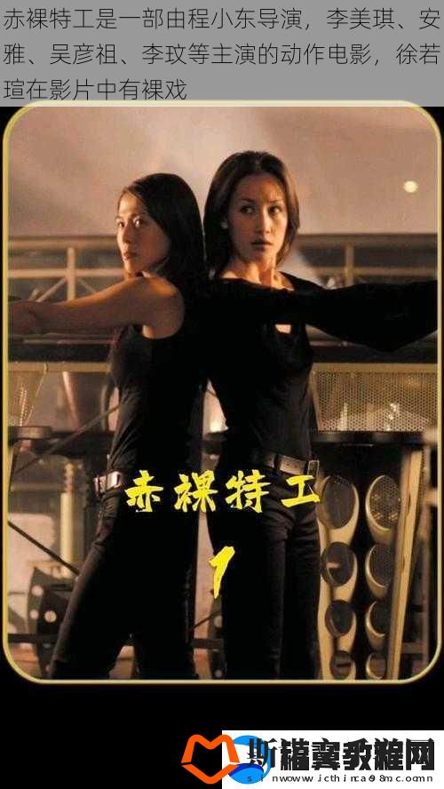 **特工是一部由程小东导演