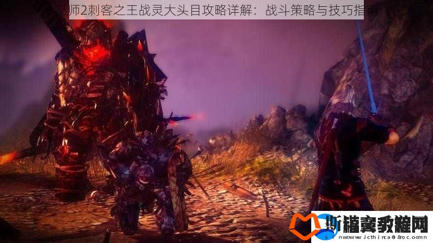 巫师2刺客之王战灵大头目攻略详解：战斗策略与技巧指南