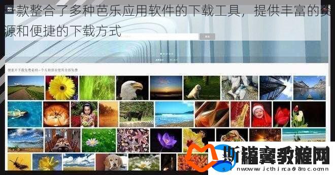 一款整合了多种芭乐应用软件的下载工具