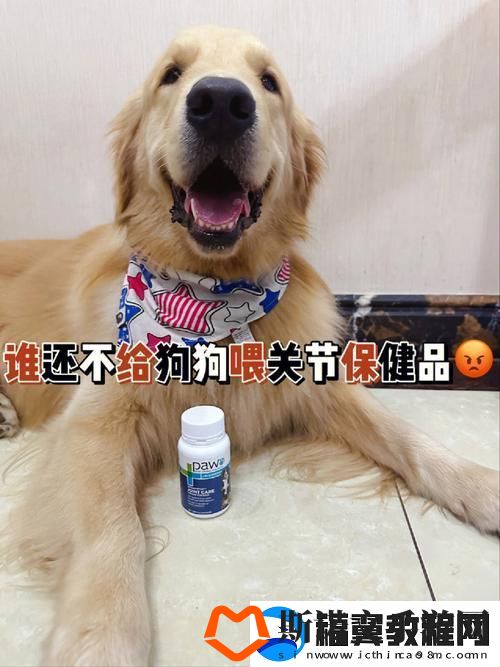 内容丰富人狗胶配方大全高清4