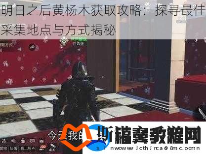 明日之后黄杨木获取攻略