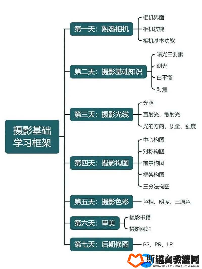 摄影艺术入门指南