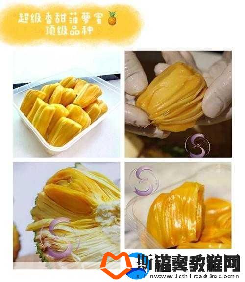 亚精产品一三三菠萝蜜