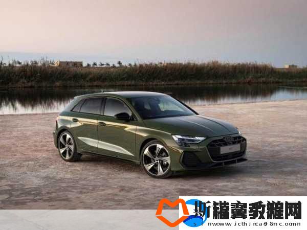 国产A1a2a317c最新型号