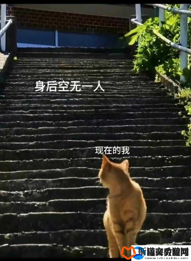 在打烊后仅剩两人的沙龙是什么歌后的别样情境