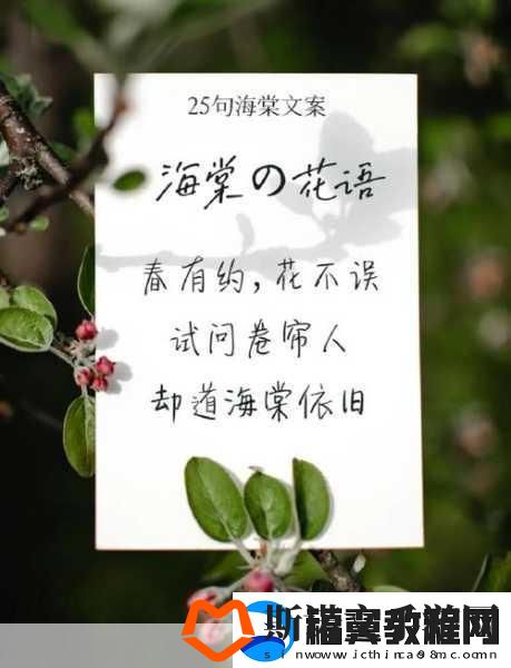 海棠怎么突然进不去了