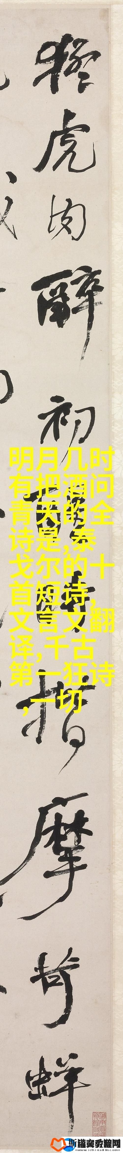 x7x7任意噪入口-探索无尽的可能性柯林