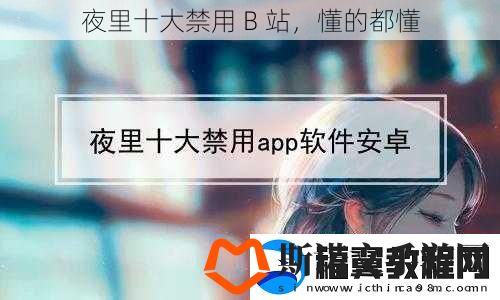 夜里十大禁用-B-站-懂的都懂