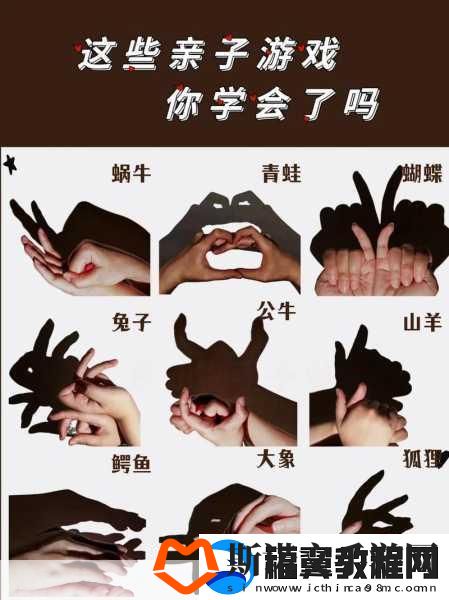 手影高手