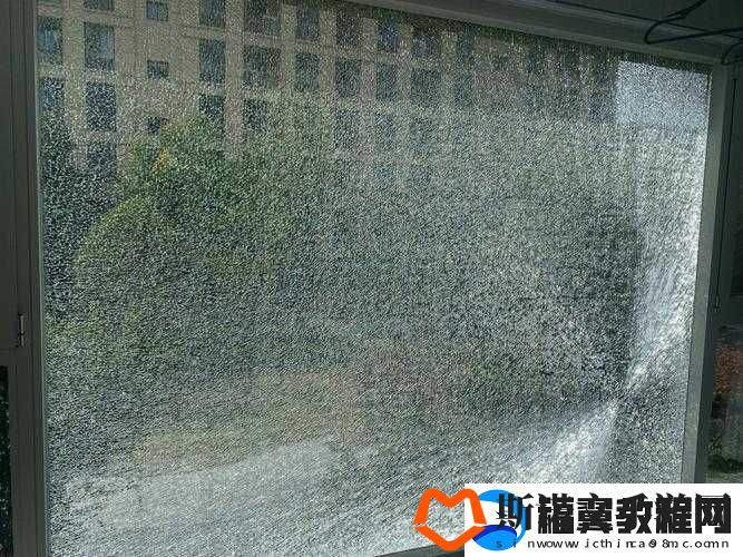 让人痛心的悲剧：9-分-10-秒落地窗头撞玻璃视频
