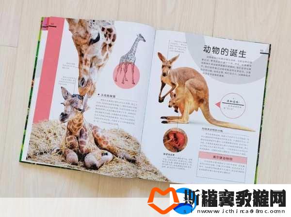探险顽皮动物园中文版