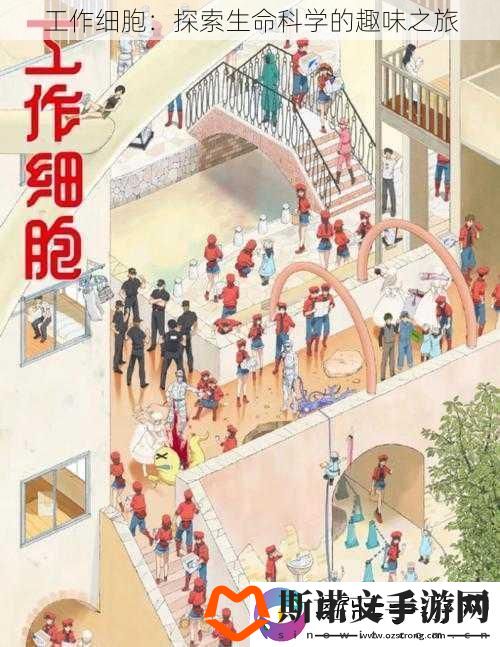 工作细胞：探索生命科学的趣味之旅