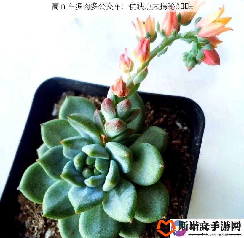 高