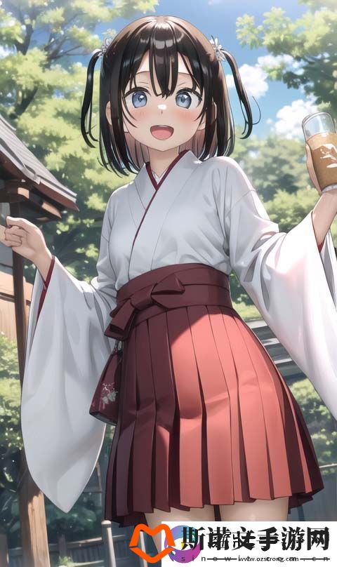 如何利用17c.c