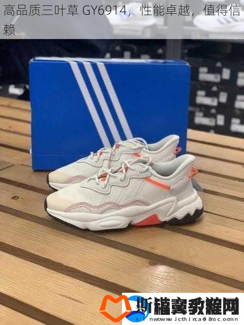 高品质三叶草
