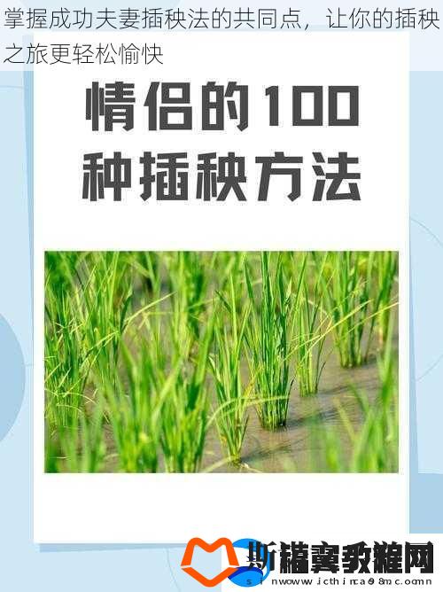 掌握成功夫妻插秧法的共同点
