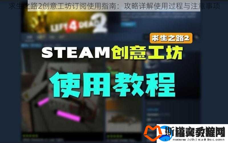 求生之路2创意工坊订阅使用指南：攻略详解使用过程与注意事项