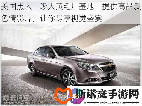 美国黑人一级大黄毛片基地