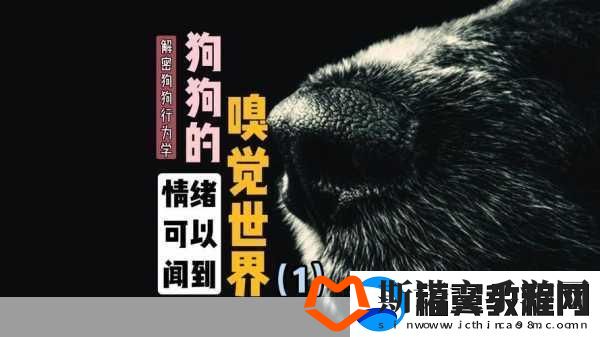 狗狗的东西又硬又烫又臭