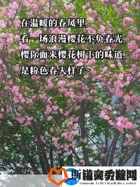 你从十岁插在樱花上面什么歌：1.-在樱花树下感受春风的温暖