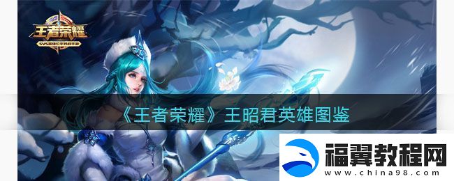 王者荣耀王昭君英雄能力分析与完整图鉴介绍