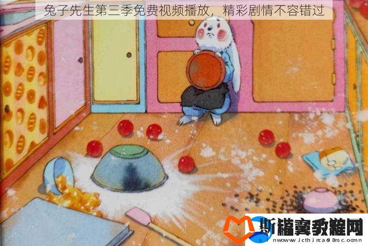 兔子先生第三季免费视频播放