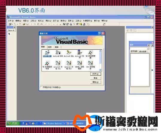 VB语言我嘲我自己的“高光”时刻