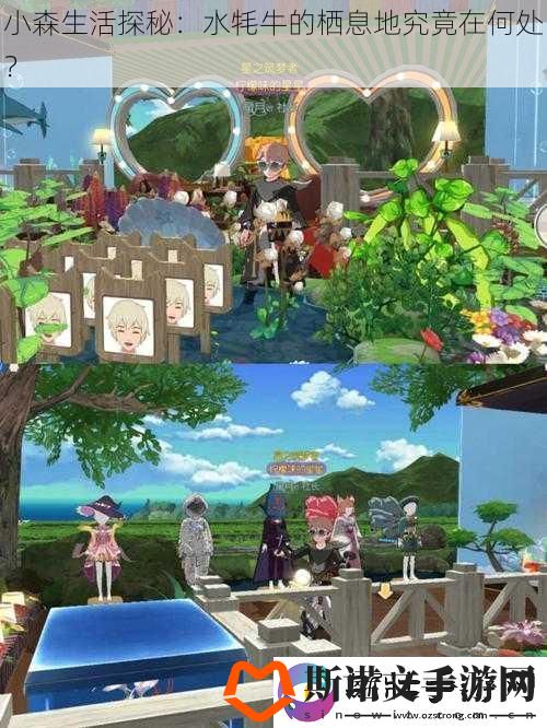 小森生活探秘：水牦牛的栖息地究竟在何处