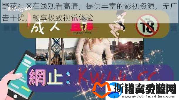 野花社区在线观看高清-提供丰富的影视资源-无广告干扰-畅享极致视觉体验