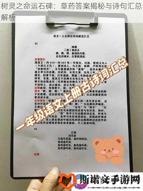 树灵之命运石碑