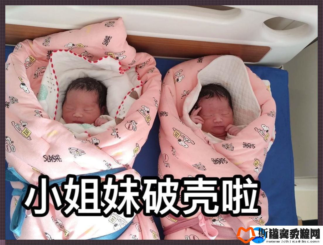 逗趣双生花