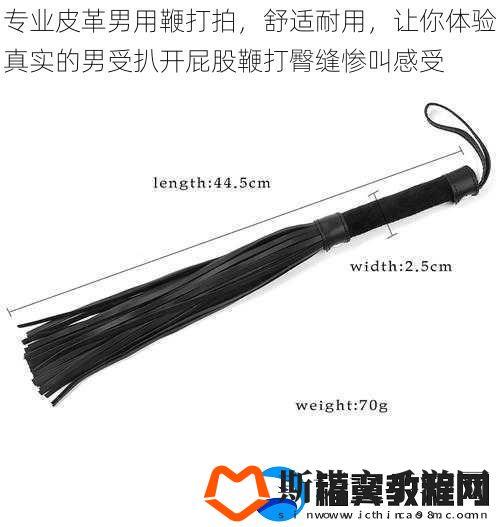 专业皮革男用鞭打拍