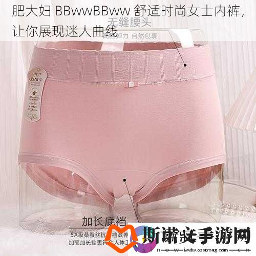 肥大妇-BBwwBBww-舒适时尚女士内裤-让你展现迷人曲线
