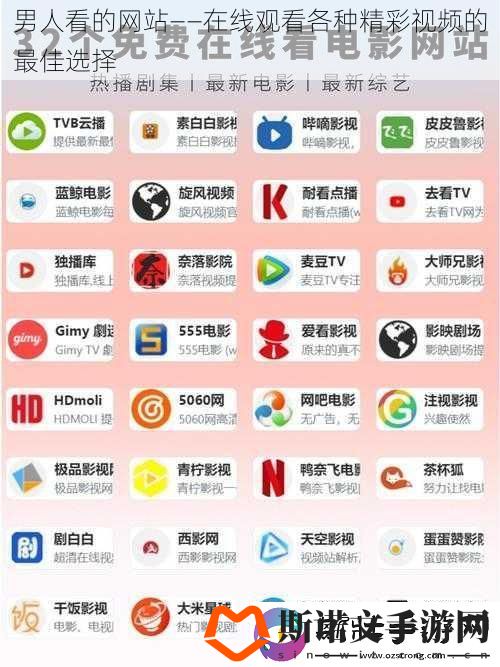 男人看的网站——在线观看各种精彩视频的最佳选择