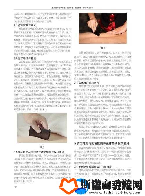 中医老王和小雨的祛毒医术：传承千年的神奇技艺与独特疗法