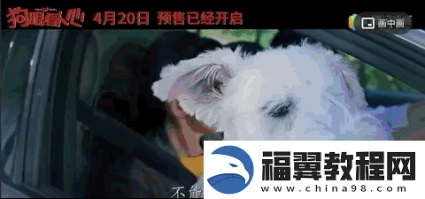 人狗大战java代码据爆料已复活：人狗大战：复活之战与新篇章的开启