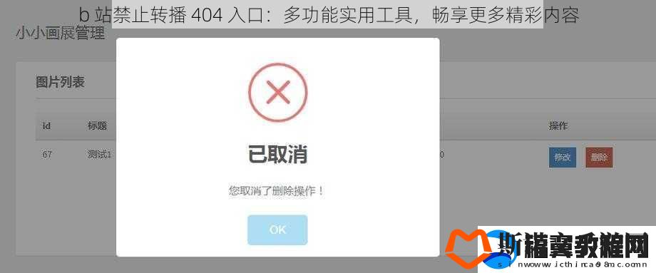 b-站禁止转播-404-入口：多功能实用工具-畅享更多精彩内容