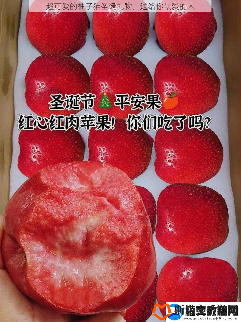 超可爱的柚子猫圣诞礼物