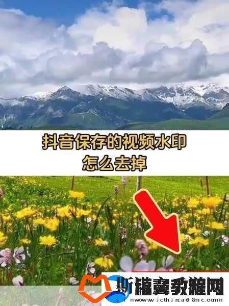 抖音保存的视频究竟藏在哪里