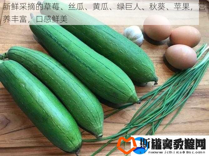 新鲜采摘的草莓、丝瓜、黄瓜、绿巨人、秋葵、苹果-营养丰富-口感鲜美