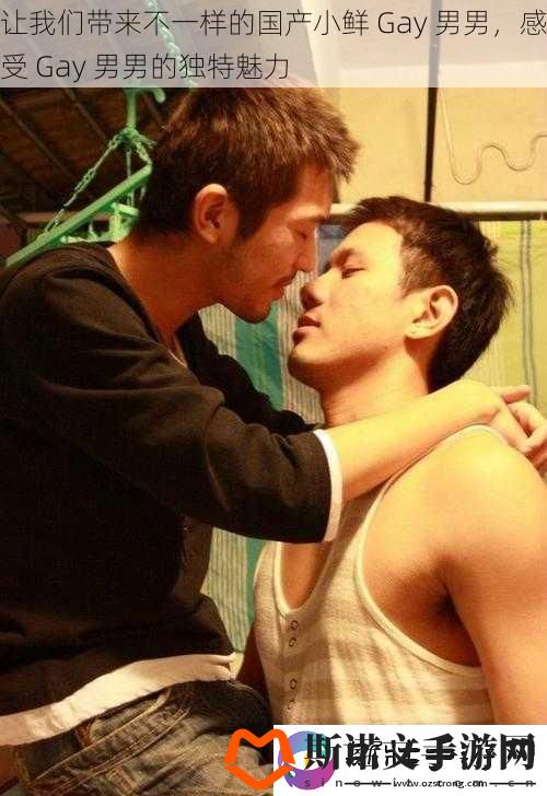让我们带来不一样的国产小鲜-Gay-男男-感受-Gay-男男的独特魅力