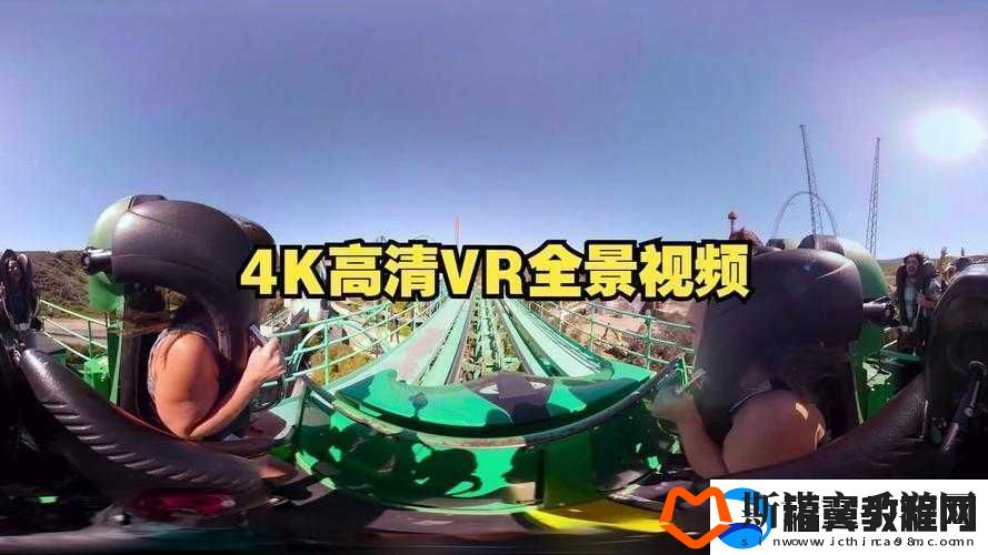 vr-成品站源码是视频的真实来源吗：揭开背后的谜团